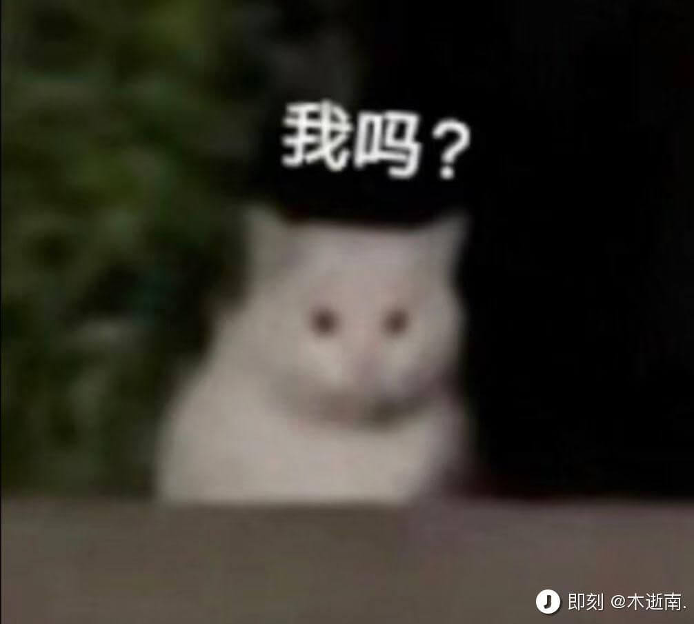 我吗？即刻@木逝南