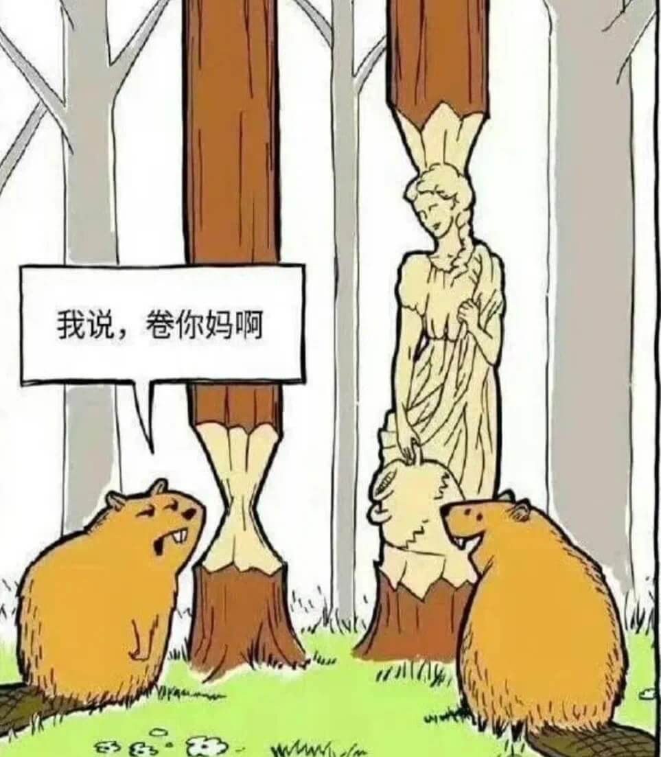 我说，卷你妈啊