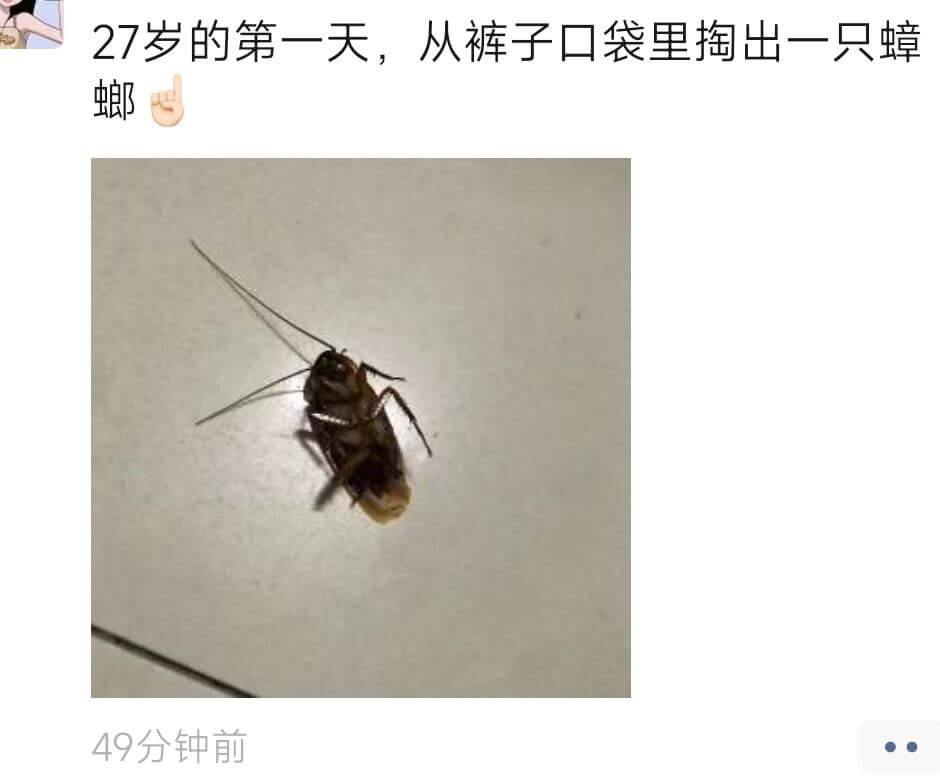 27岁的第一天，从裤子口袋里掏出一只蟑螂49分钟前