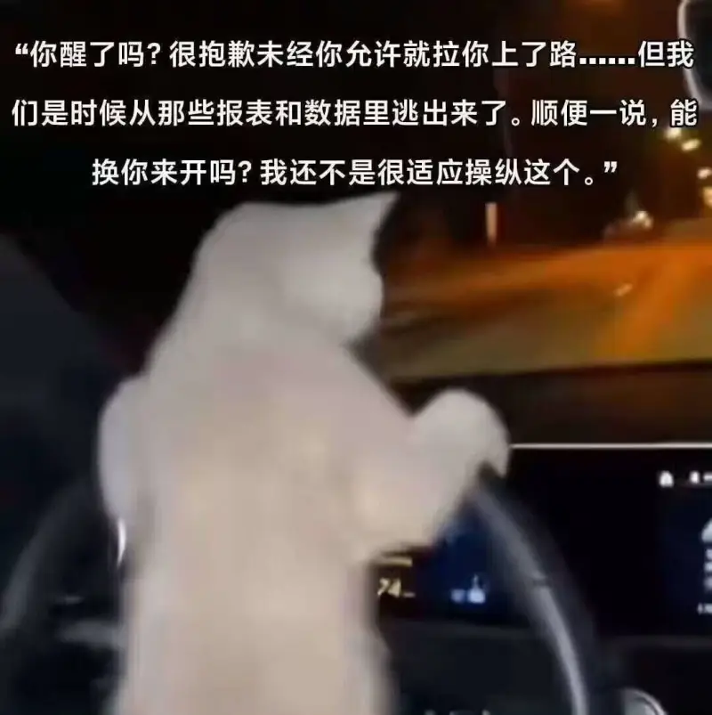 你醒了吗？很抱歉未经你允许就拉你上了路。但我们是时候从那些报
