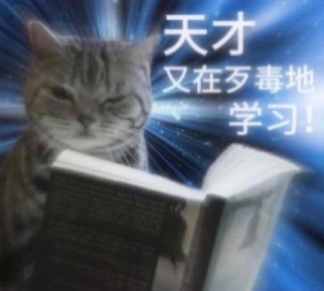 天才又在毒地学习！