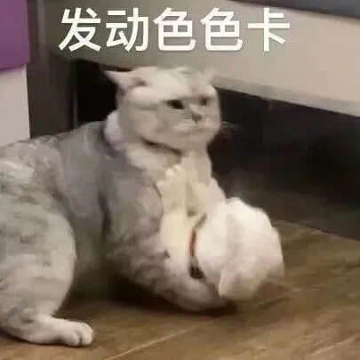 发动色色卡
