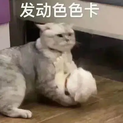 发动色色卡