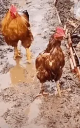哈哈哈哈哈哈哈哈…