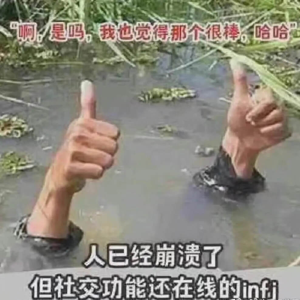 啊是吗我也觉得那个很棒，哈哈人已经崩溃了但社交功能还在线的n
