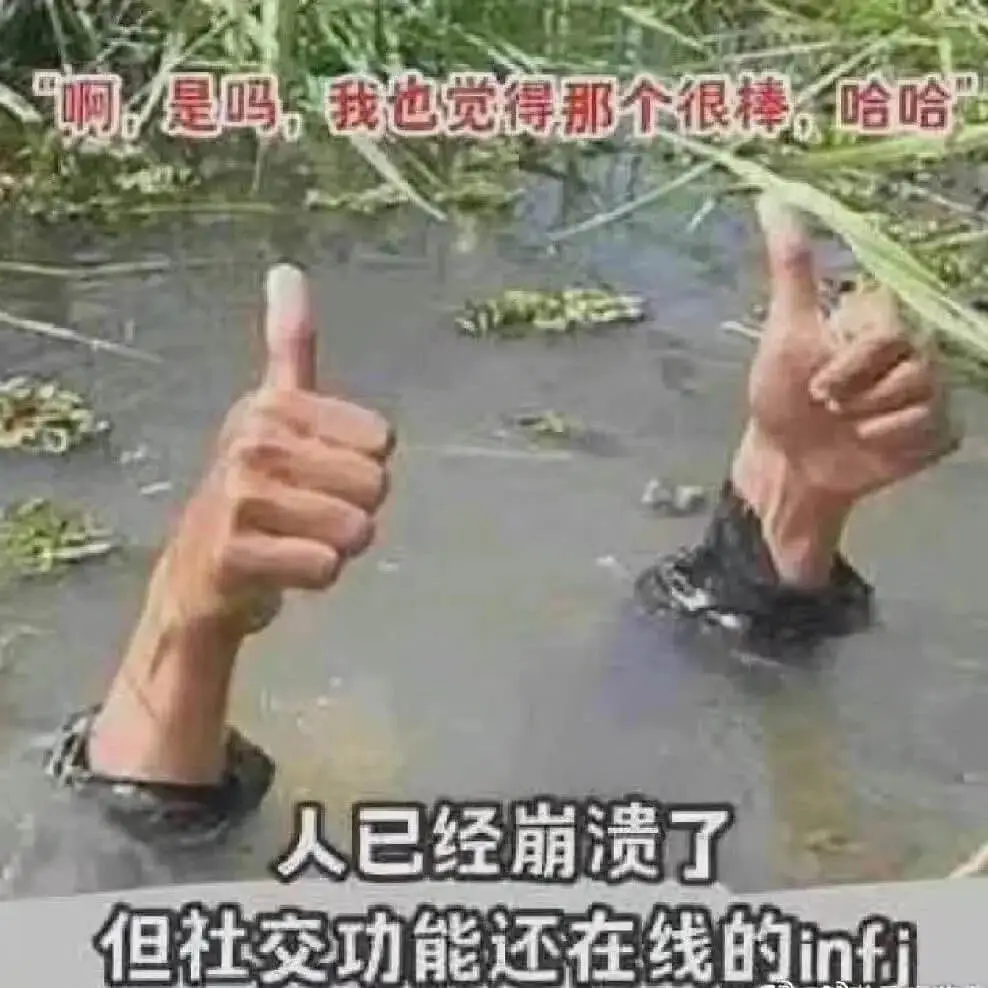 啊是吗我也觉得那个很棒，哈哈人已经崩溃了但社交功能还在线的n