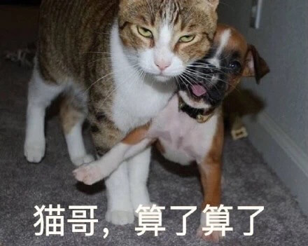 猫哥，算了算了