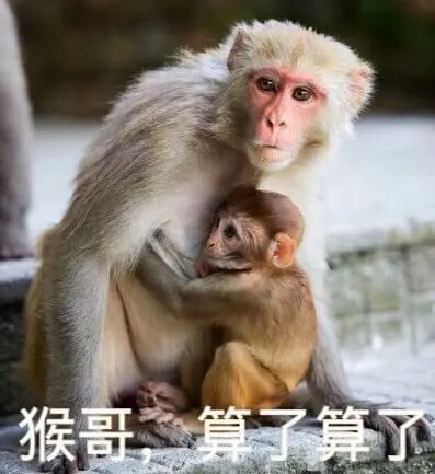 猴哥算了算了