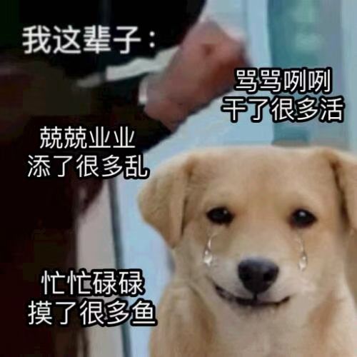 我这辈子：骂骂咧咧干了很多活锐就业业添了很多乱忙忙碌碌摸了很