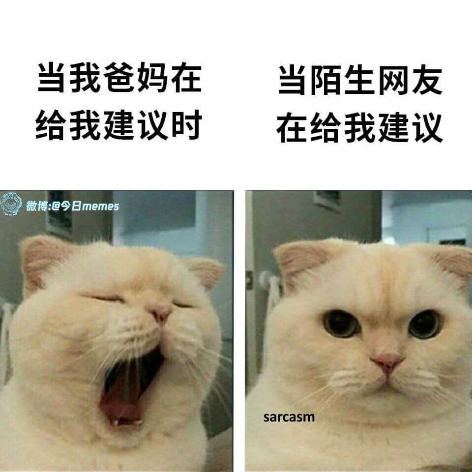 当我爸妈在当陌生网友给我建议时在给我建议微博：@今日meme