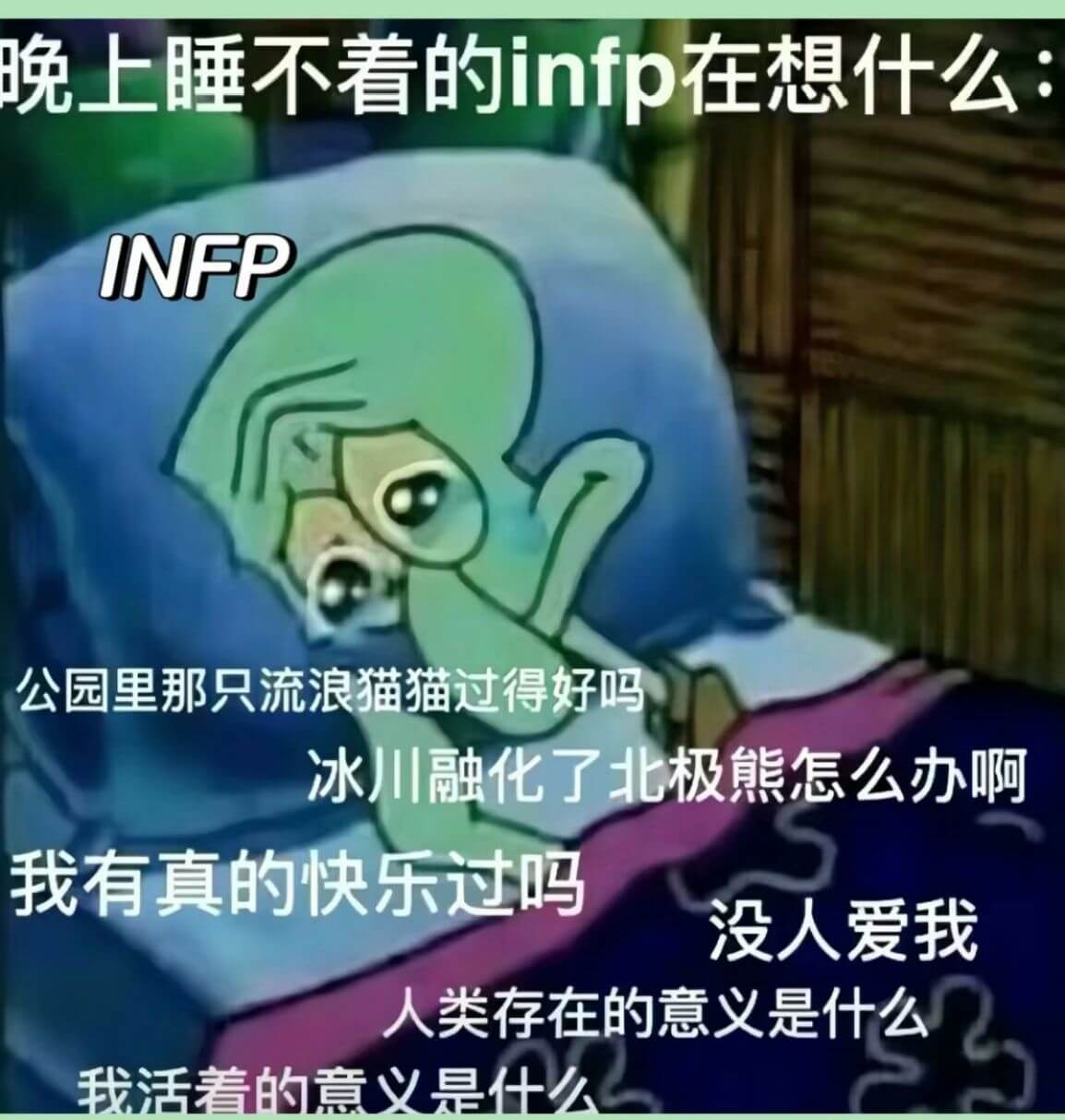 晚上睡不看的infp在想什么INFP公园里那只流浪猫猫过得好