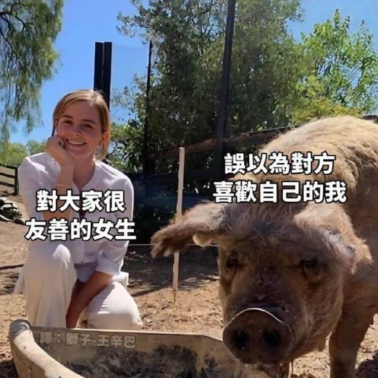 誠以封方喜歡自己的我封大家很友善的女生辉狮子王辛巴
