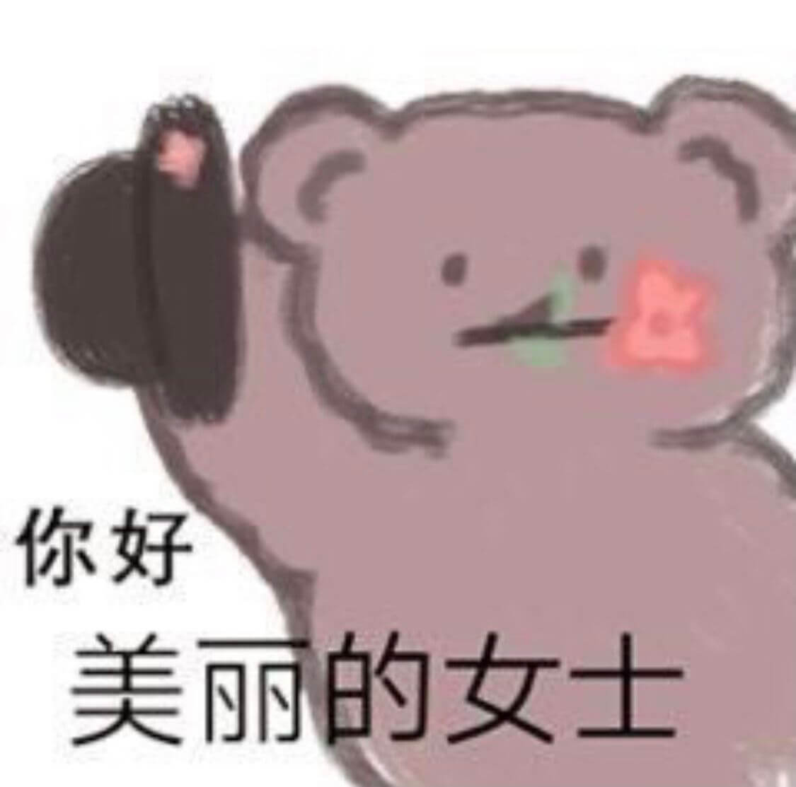 你好美丽的女士