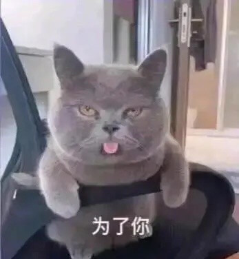 为了你