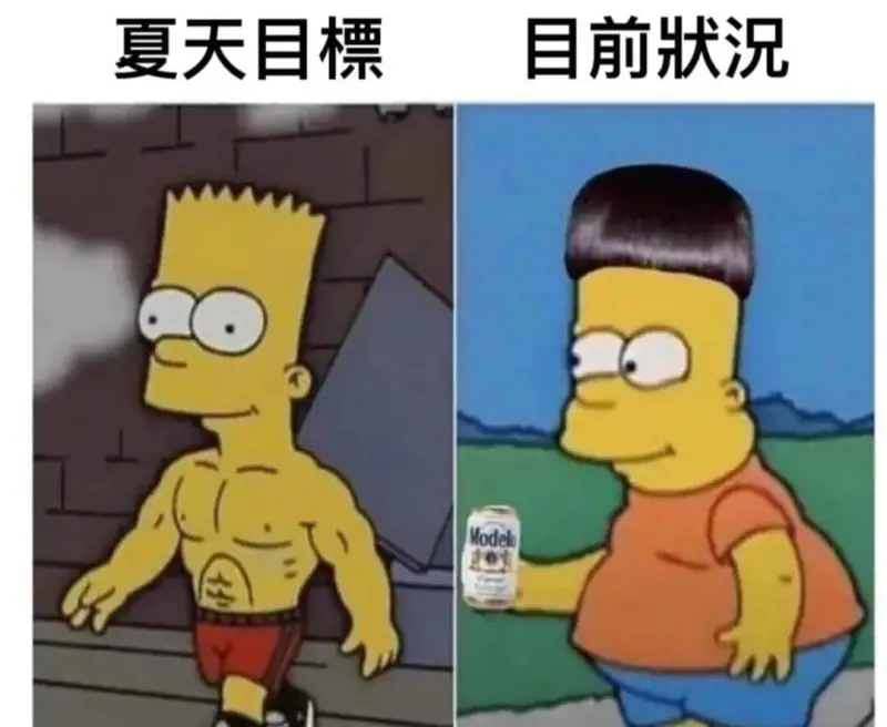 夏天目標目前状况odel