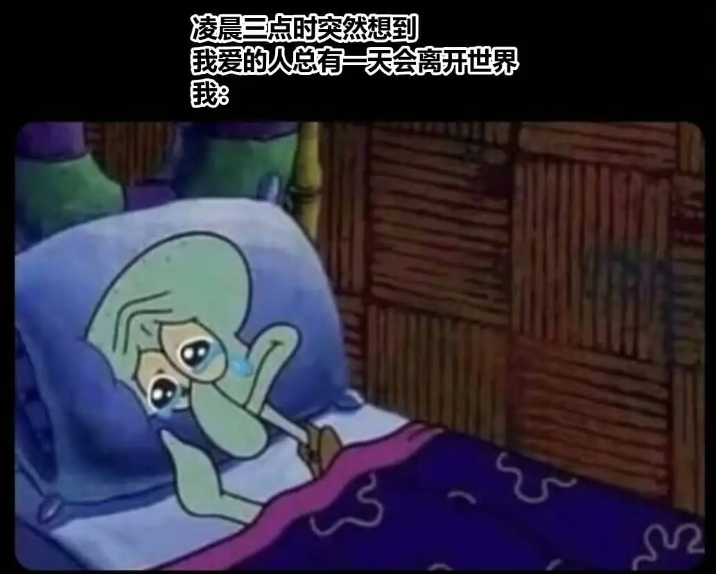 每日陪哭