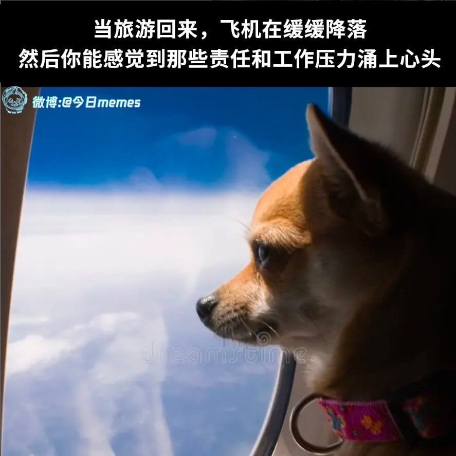 当旅游回来，飞机在缓缓降落然后你能感觉到那些责任和工作压力涌