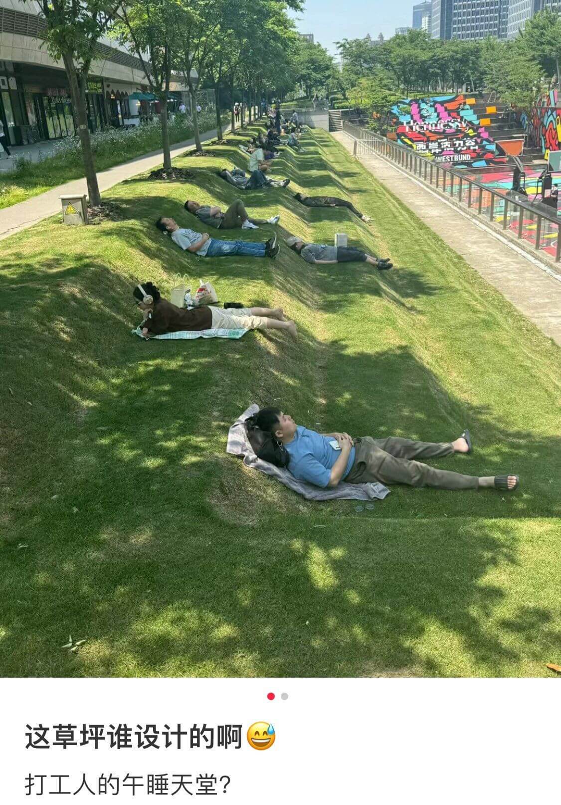 这草坪谁设计的啊，打工人的午睡天堂？