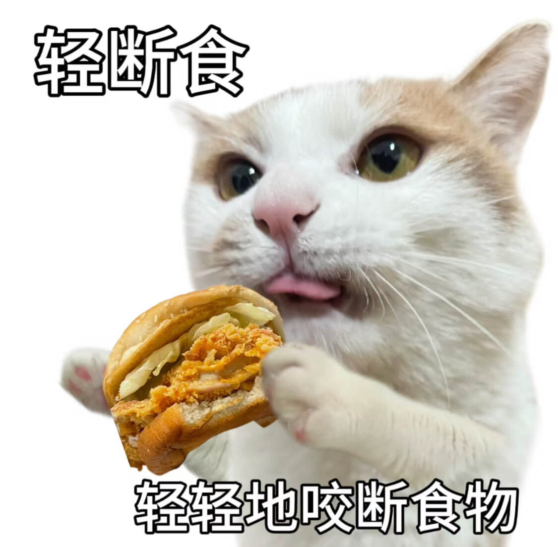 轻断食轻轻地咬断食物