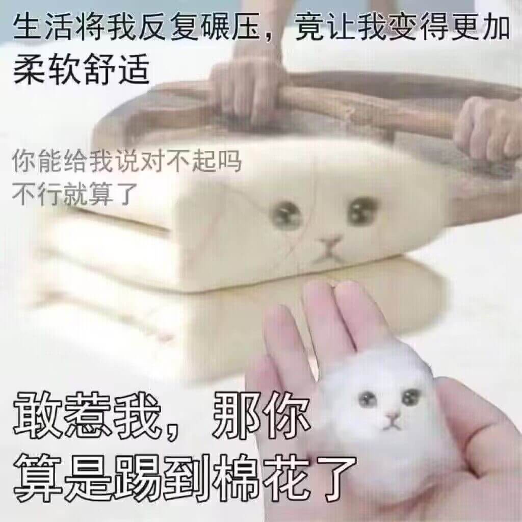 生活将我反复碾压，竟让我变得更加柔软舒适你能给我说对不起吗不