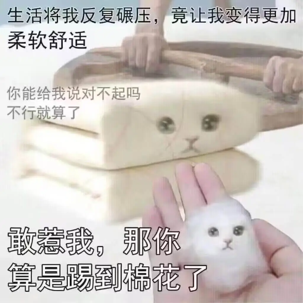 生活将我反复碾压，竟让我变得更加柔软舒适你能给我说对不起吗不