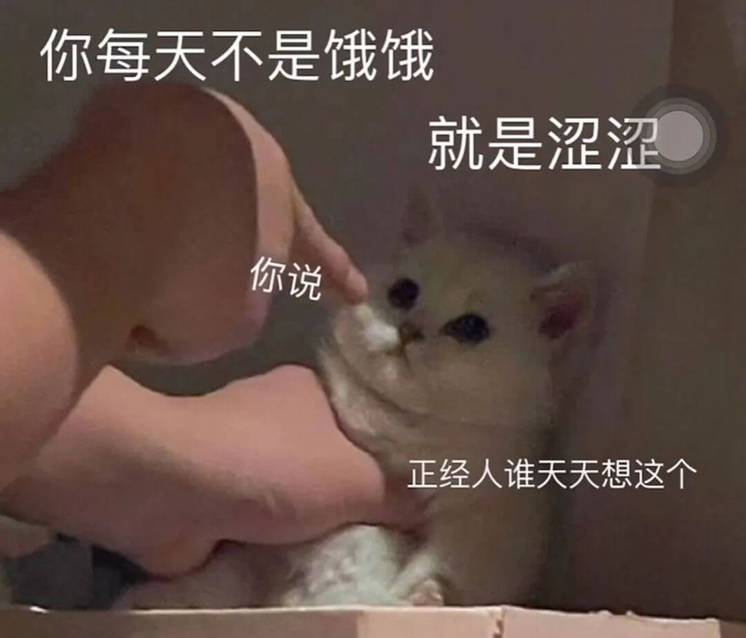你每天不是饿饿就是涩涩你说正经人谁天天想这个