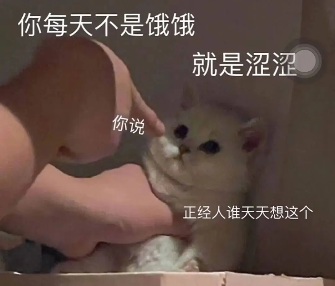 你每天不是饿饿就是涩涩你说正经人谁天天想这个
