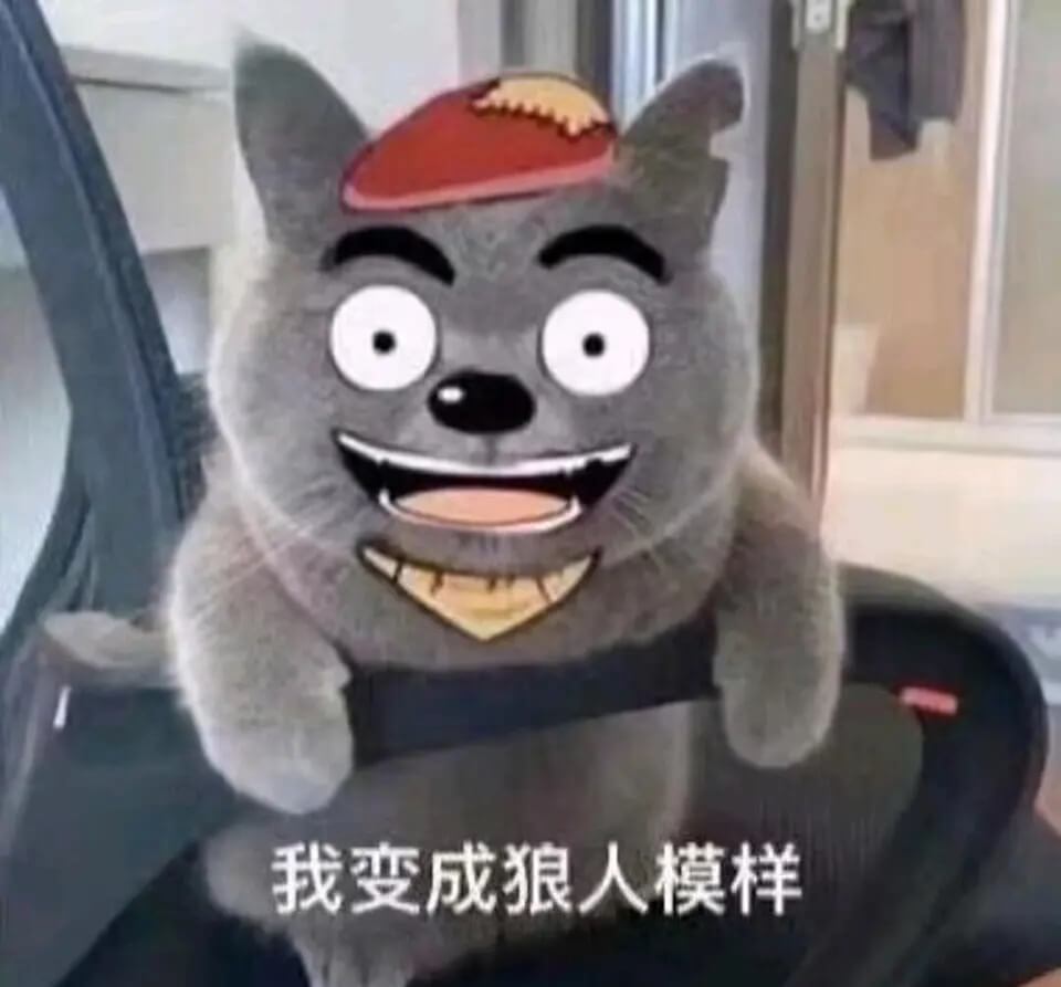我变成狼人模样
