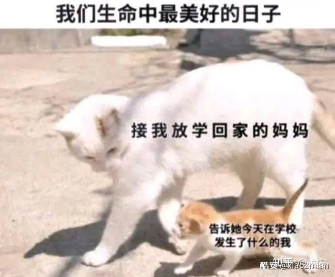 我们生命中最美好的日子接我放学回家的妈妈告诉她今天在学校发生