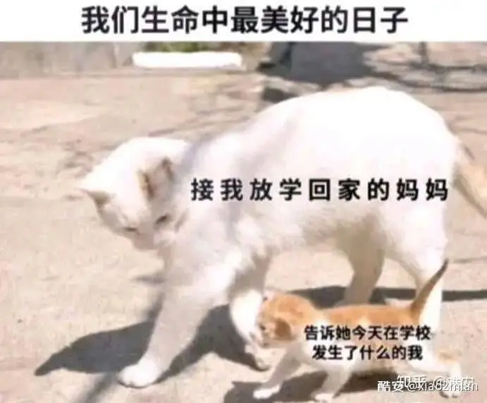我们生命中最美好的日子接我放学回家的妈妈告诉她今天在学校发生