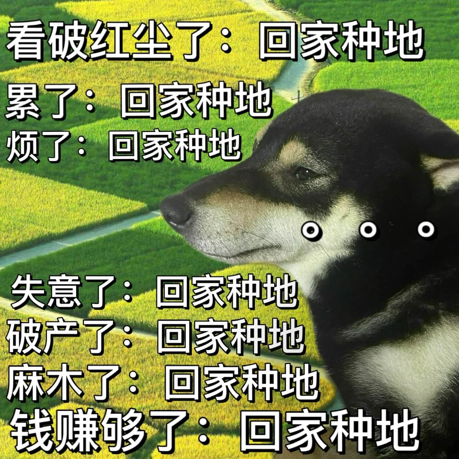 看破红尘了：回家种地累了：回家种地烦了：回家种地失意了：回家