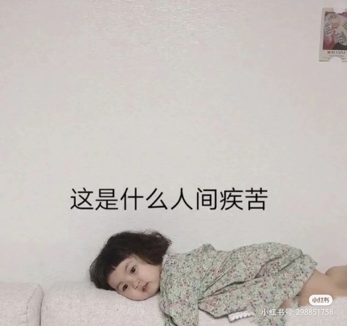 这是什么人间疾苦小红书小红书号：298851758