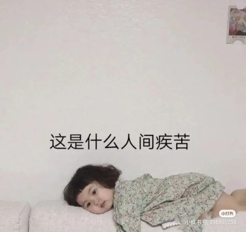 这是什么人间疾苦小红书小红书号：298851758