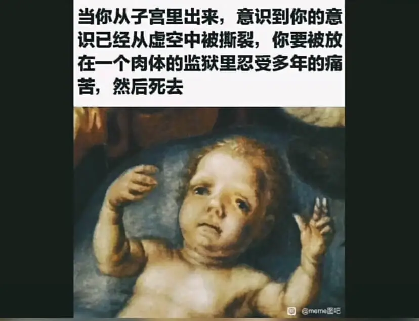 当你从子宫里出来,意识到你的意识已经从虚空中被撕斯裂,你要被