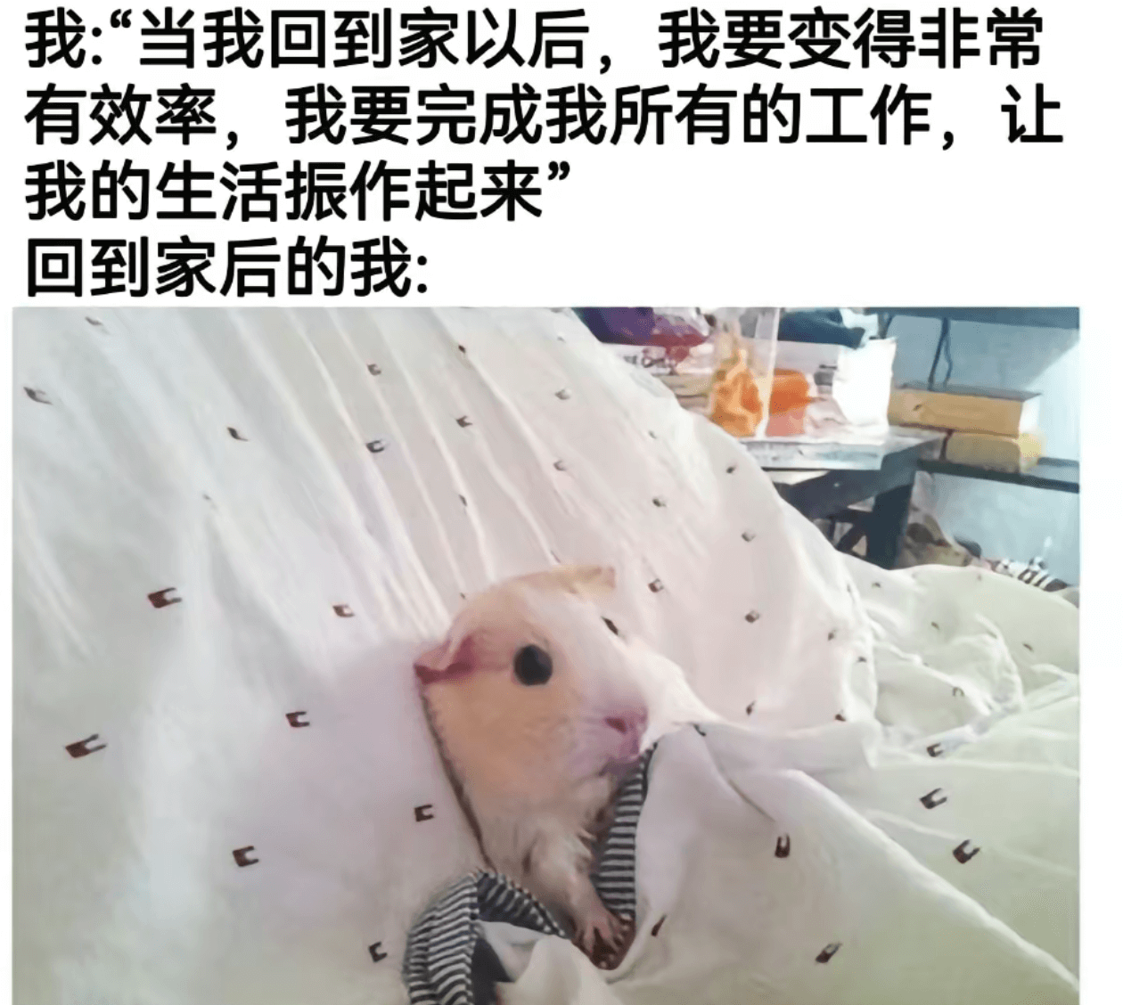 我：“当我回到家以后，我要变得非常有效率，我要完成我所有的工