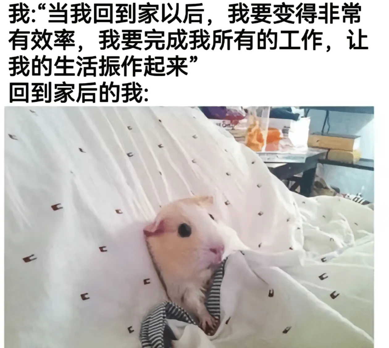 我：“当我回到家以后，我要变得非常有效率，我要完成我所有的工