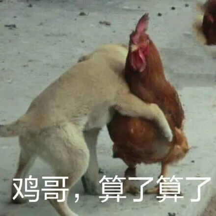鸡哥，算了算了