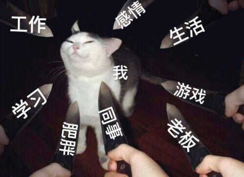 工作感情生活我游戏学习回老板肥胖