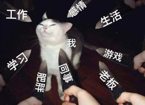 工作感情生活我游戏学习回老板肥胖