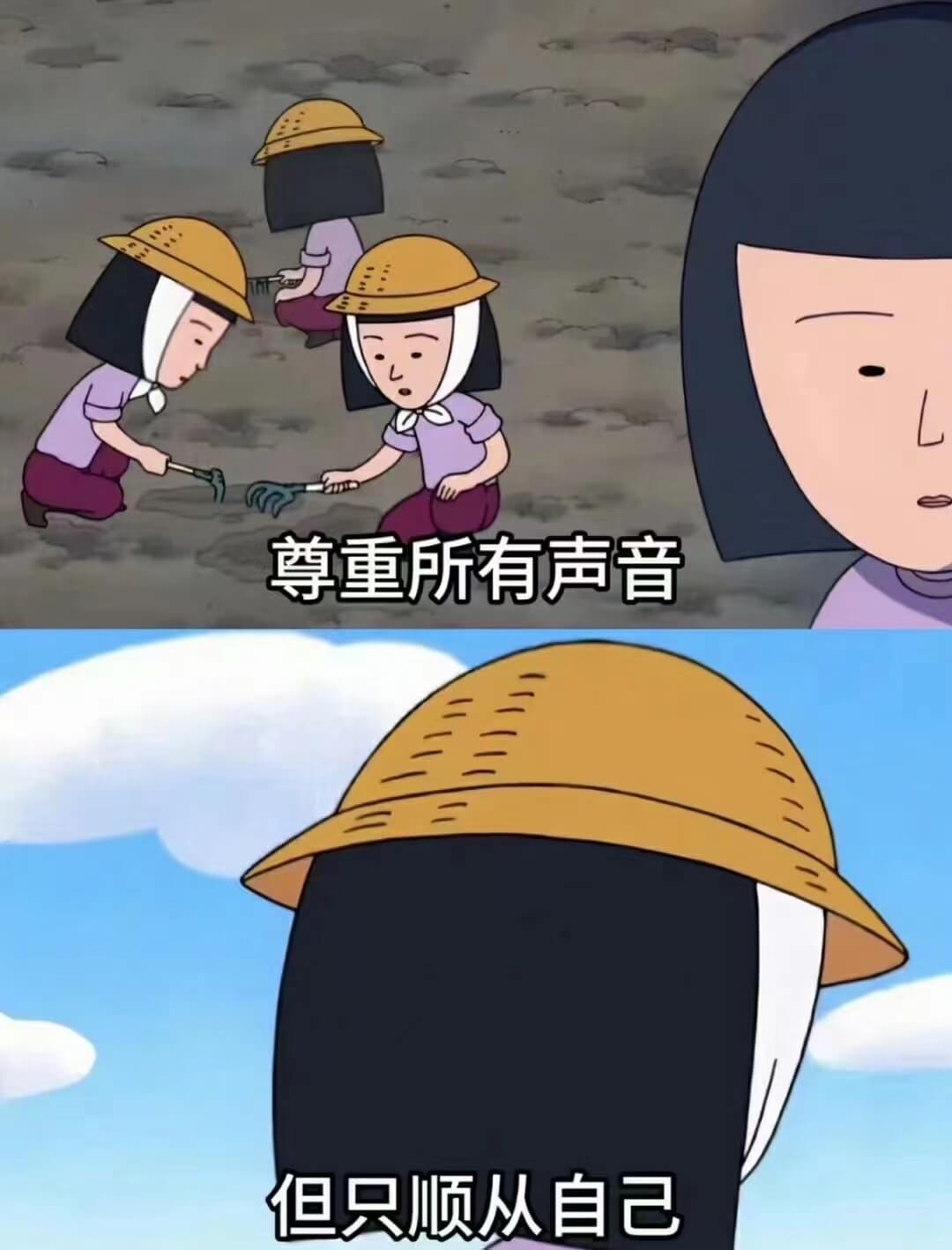 尊重所有声音但只顺从自己