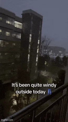 飞翔的牛仔裤😂