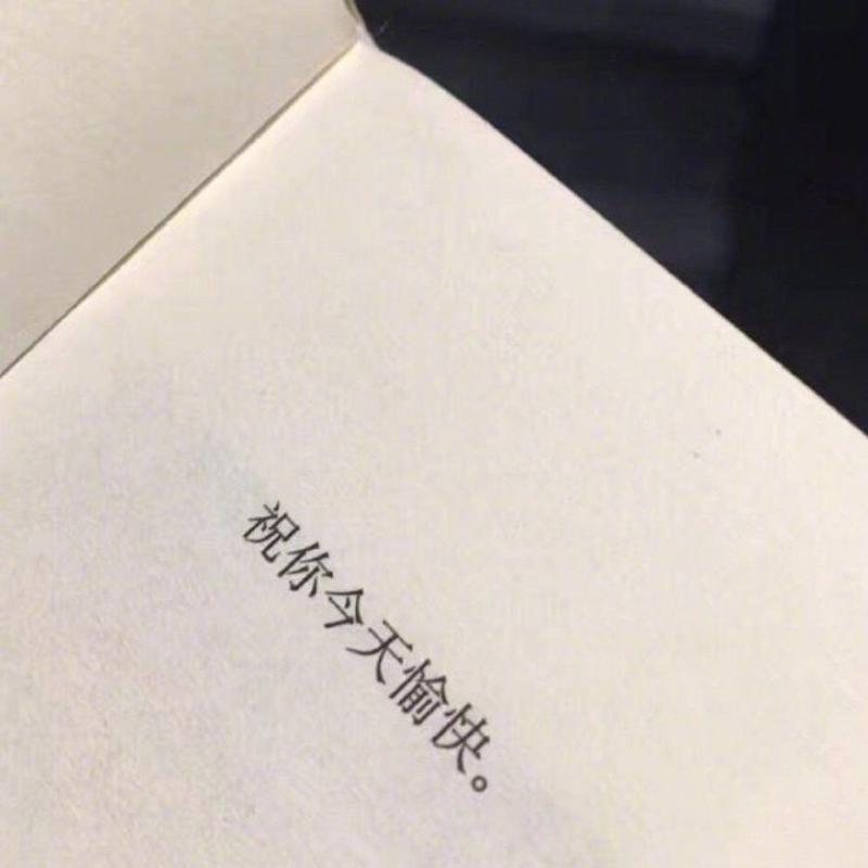自以为聪明的笨蛋的头像