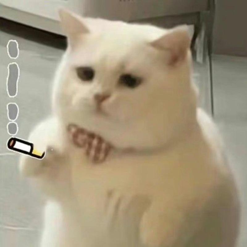 时光偷走初心的头像