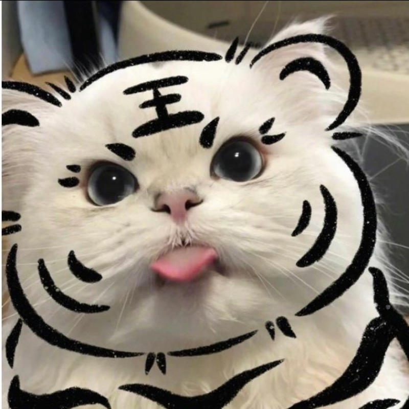 张三大叔的头像