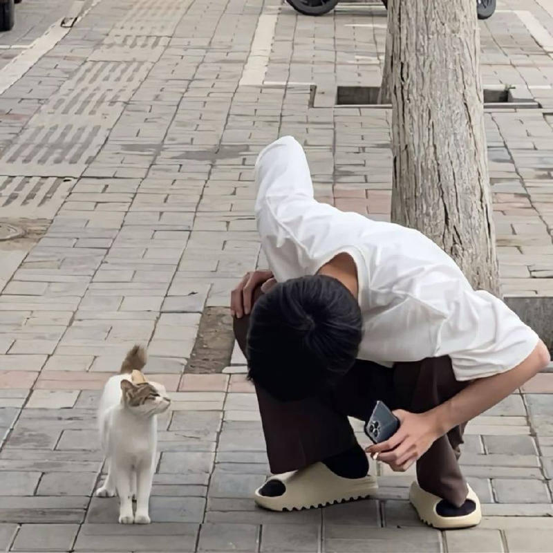 噢噢哦哦的头像