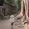 蹲蹲桃的头像
