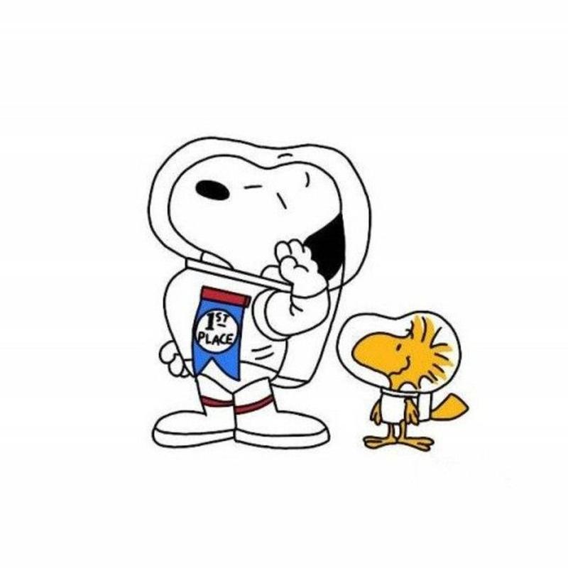 莫斯科夜晚的郊外的头像