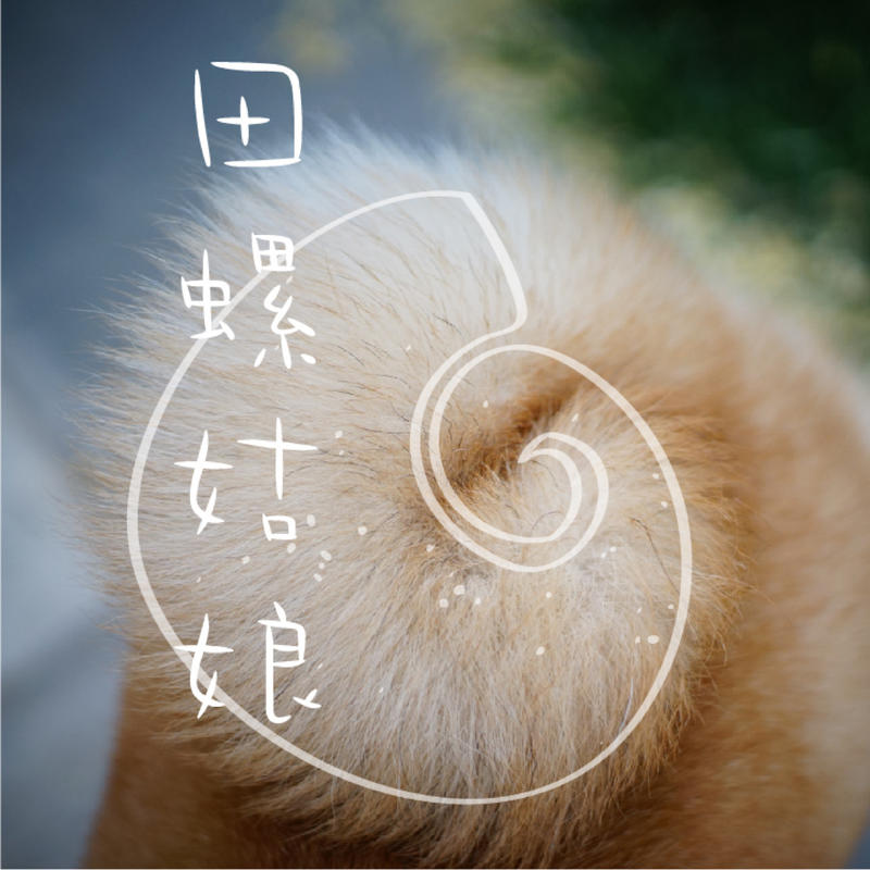 陈宇慧的头像