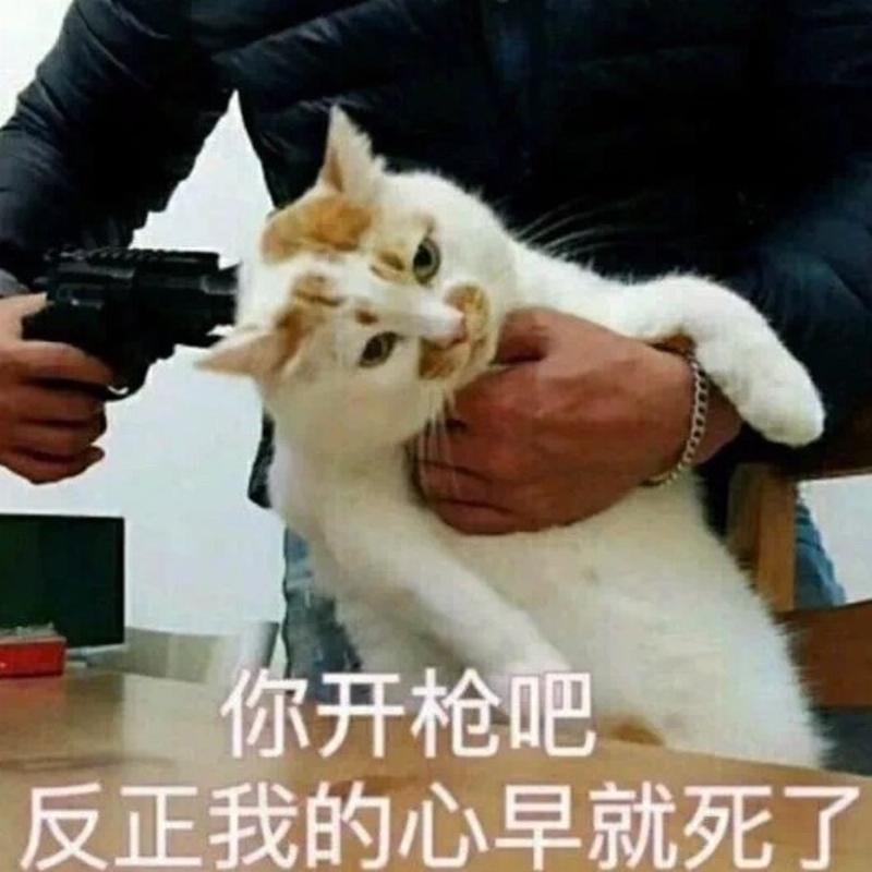 刘希翎的头像