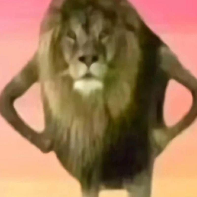 Doralulu的头像